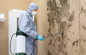 Best Mold Removal for HVAC Installations  in Mena, AR